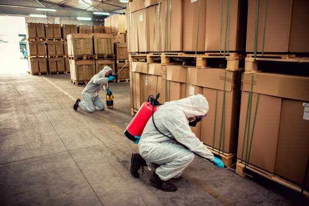 Best Mosquito Control Services  in Dock Junction, GA