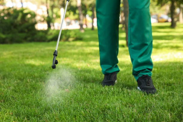 Best Pest Inspection Near Me  in Dock Junction, GA