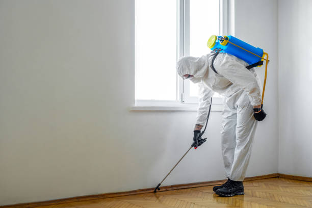 Best Wasp Removal Services  in Dock Junction, GA