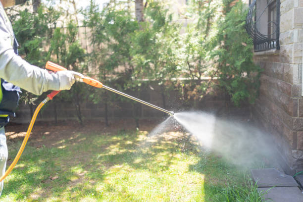 Best Rat Extermination Near Me  in Dock Junction, GA