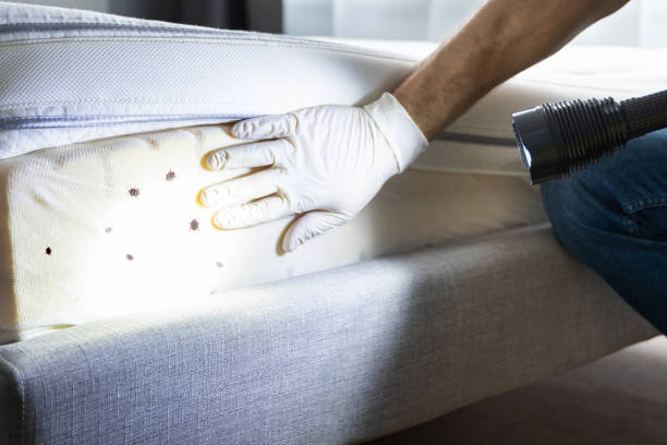 Best Exterminator Services  in Dock Junction, GA