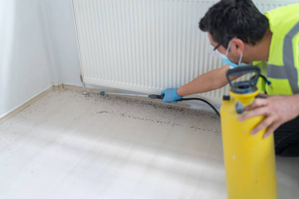 Best Bed Bug Extermination  in Dock Junction, GA